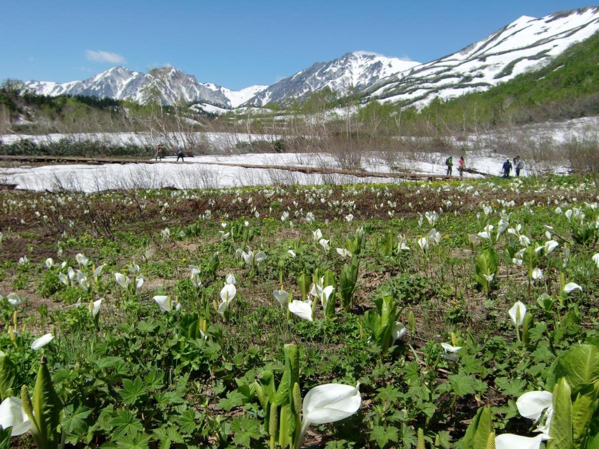Anri Hakuba Exterior foto